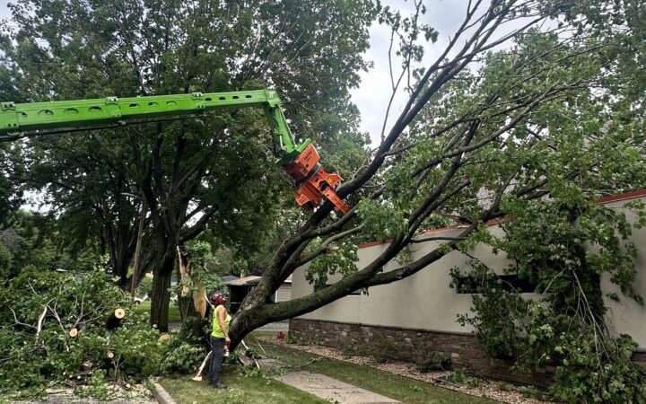 Storm damaged tree being picked off roof of Baaken Young in River Falls, WI
