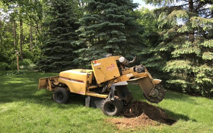Rayco stump grinder after processing a stump