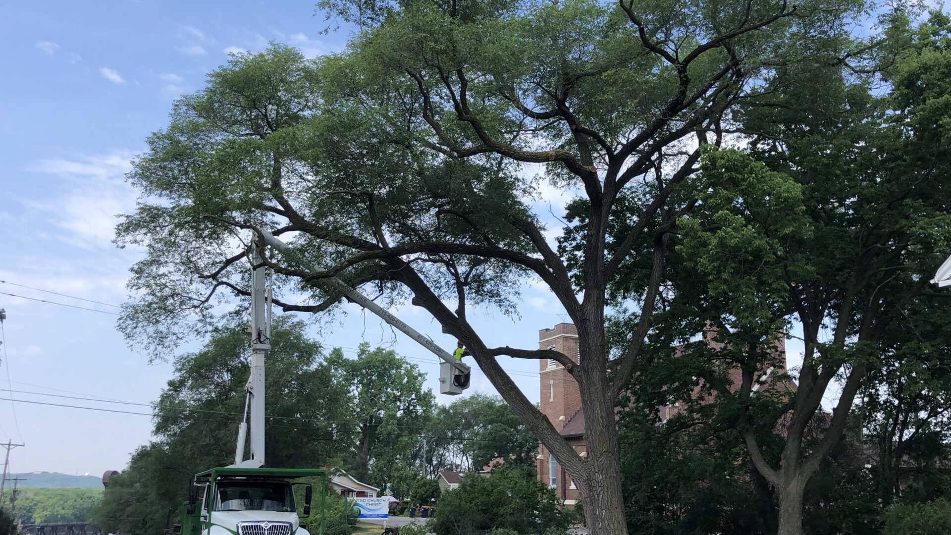 Man in bucket truck pruning a large walnut tree on Orange St. in Prescott, WI.