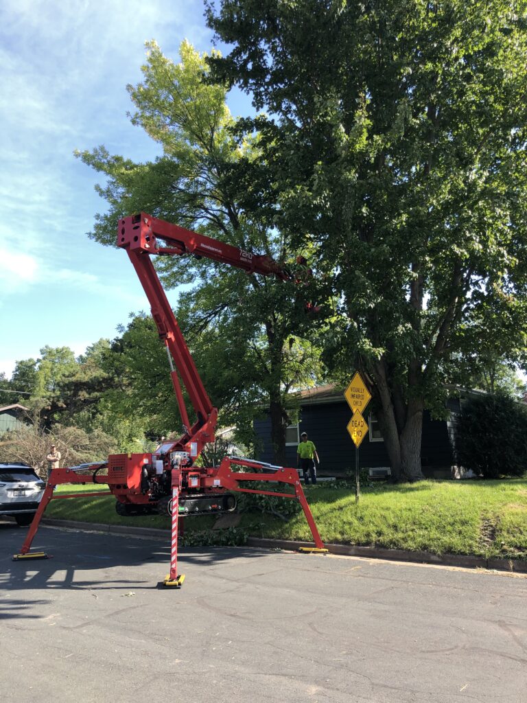 Person addressing tree in an aerial bucket of a backyard lift.