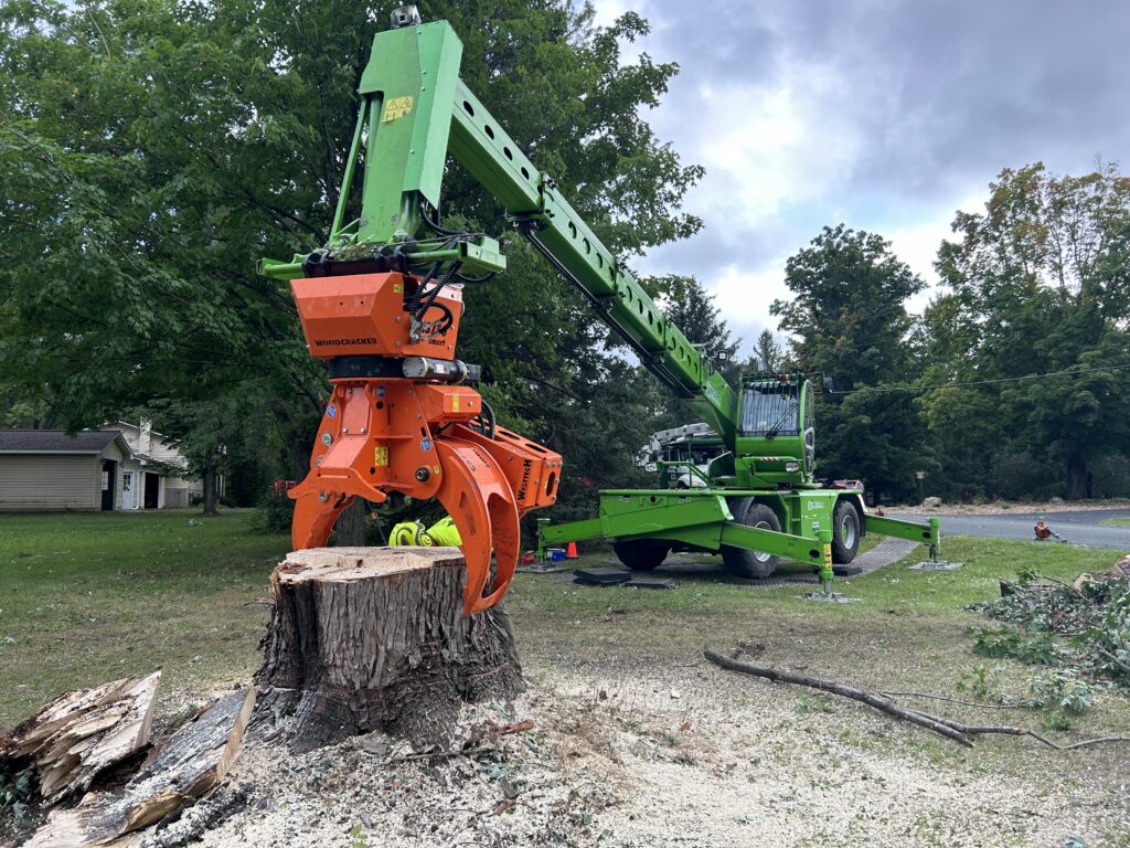 Merlo grapple picking up a silver maple trunk