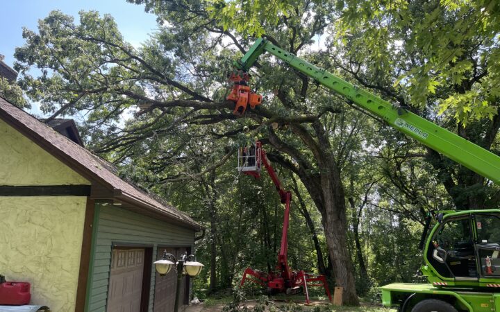 Man on spider lift cutting oak limb over garage while Merlo grapple holds it in place to be lowered, off of Ilwaco Rd in River Falls, WI.