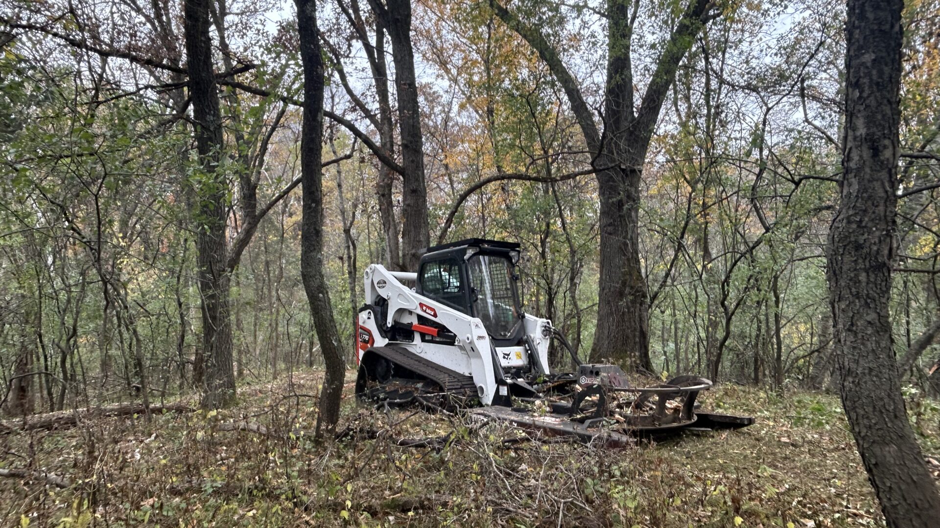 Bobcat track loader mowing brush in the woods.