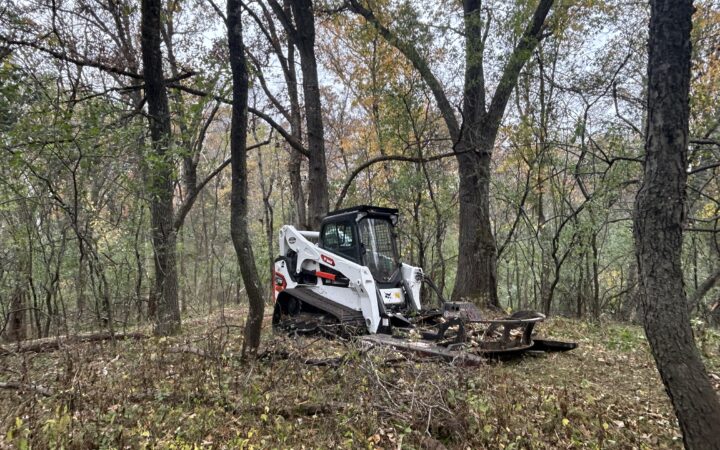 Bobcat track loader mowing brush in the woods.