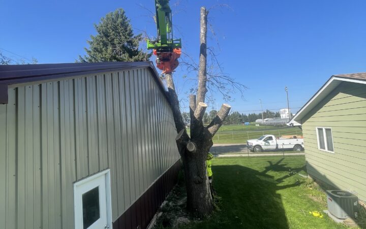 Specialized Equipment-Assisted & Tight-Access Removal