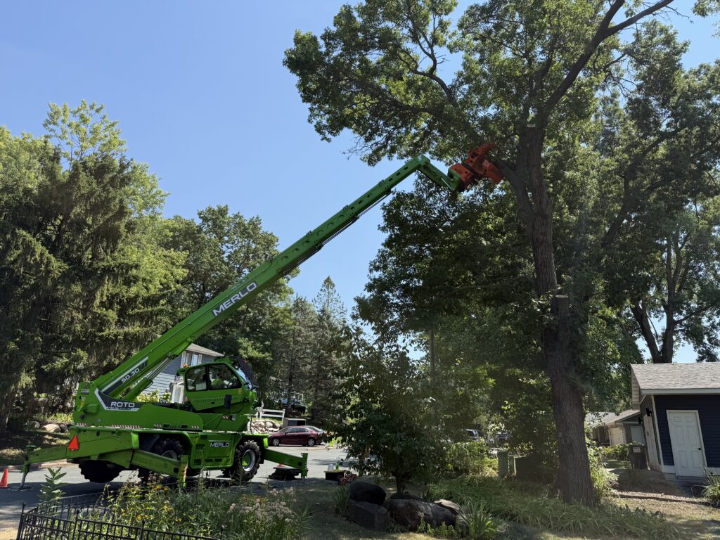 Merlo with grapple saw removing limb from oak tree in North Hudson, WI