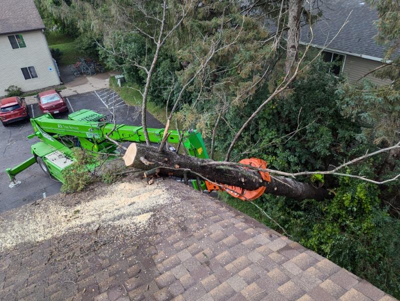 Merlo grapple removing a storm damage pine tree off the roof of an apartment building on Cascade St. in River Falls, WI.